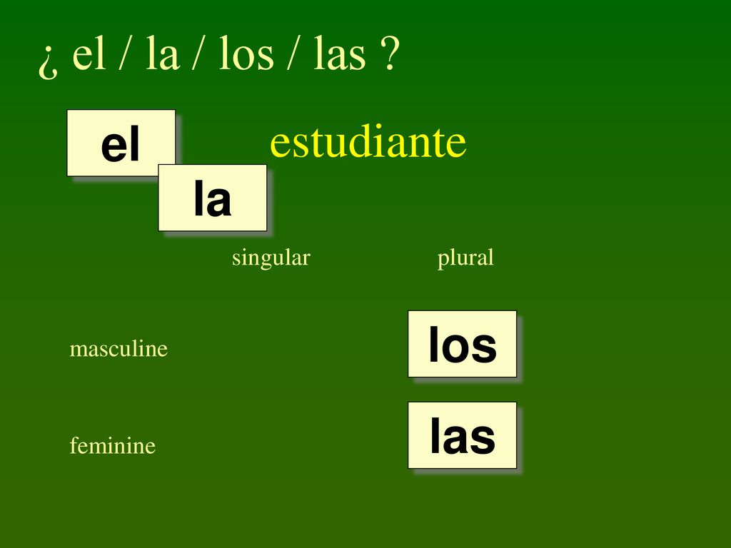 ¿ el / la / los / las estudiante el la los las singular plural