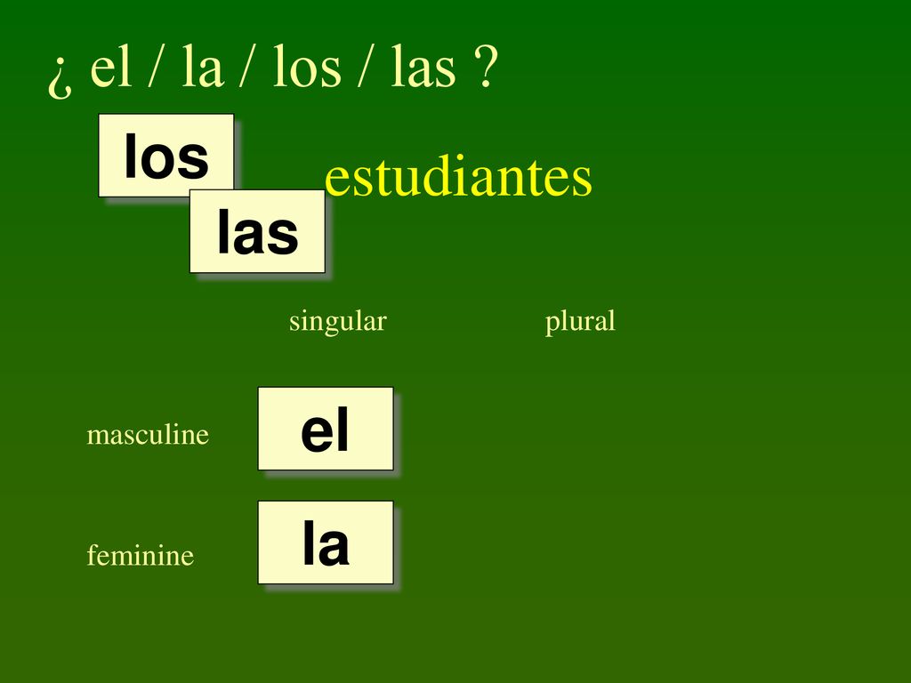 ¿ el / la / los / las estudiantes los las el la singular plural