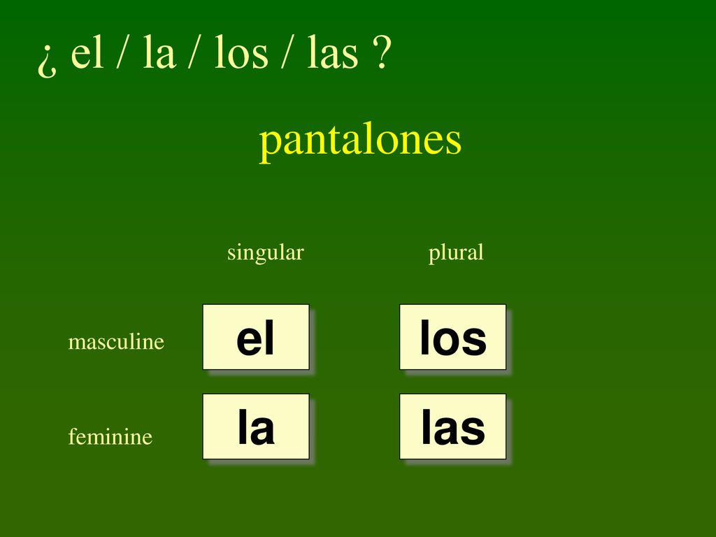 ¿ el / la / los / las pantalones el los la las singular plural