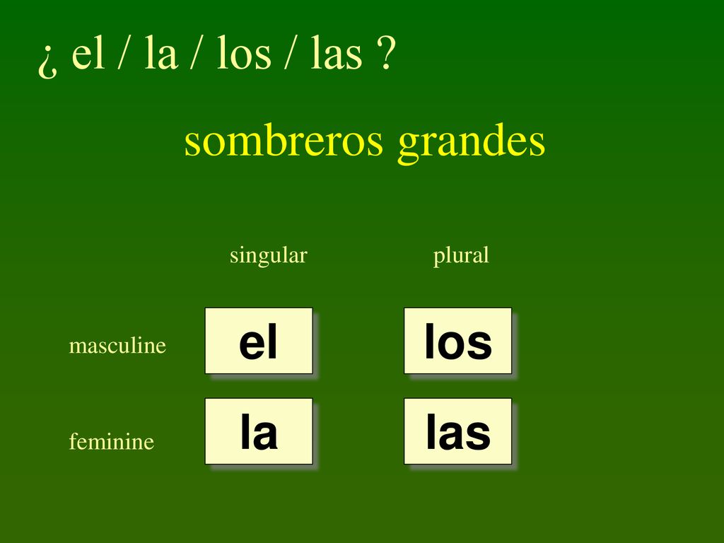 ¿ el / la / los / las sombreros grandes el los la las singular