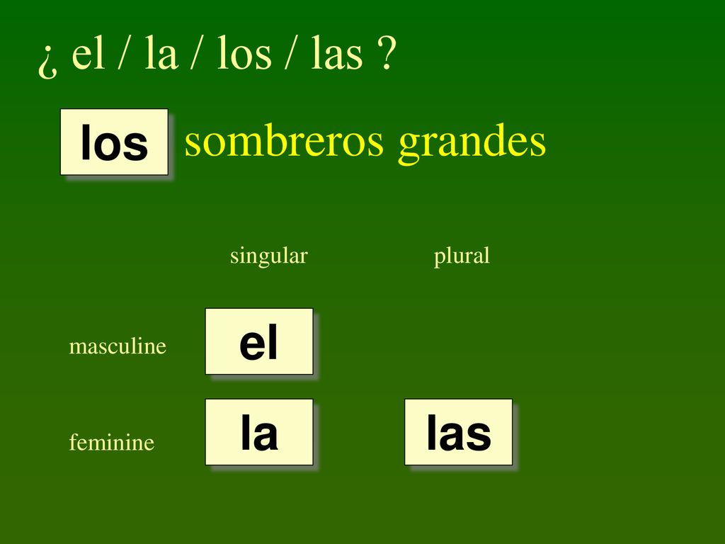¿ el / la / los / las sombreros grandes los el la las singular