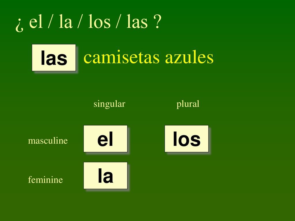 ¿ el / la / los / las camisetas azules las el los la singular plural