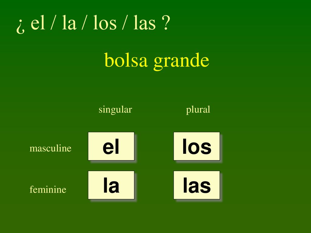 ¿ el / la / los / las bolsa grande el los la las singular plural