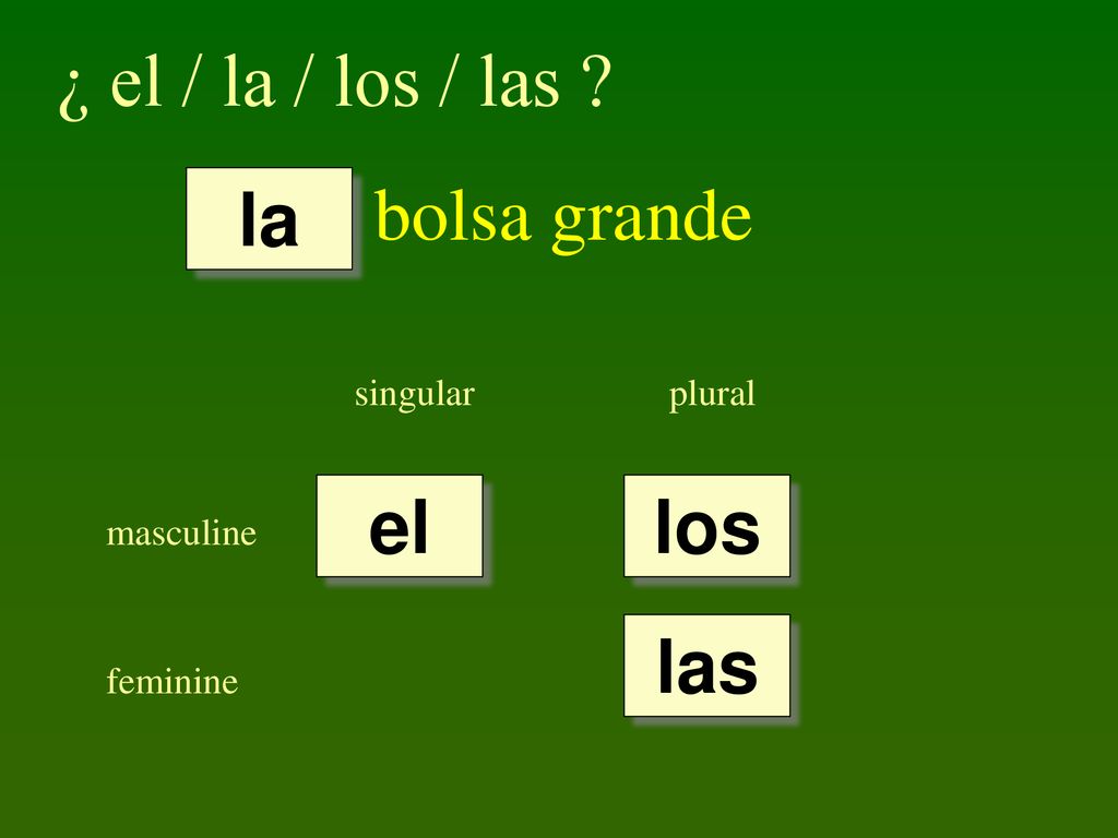 ¿ el / la / los / las bolsa grande la el los las singular plural