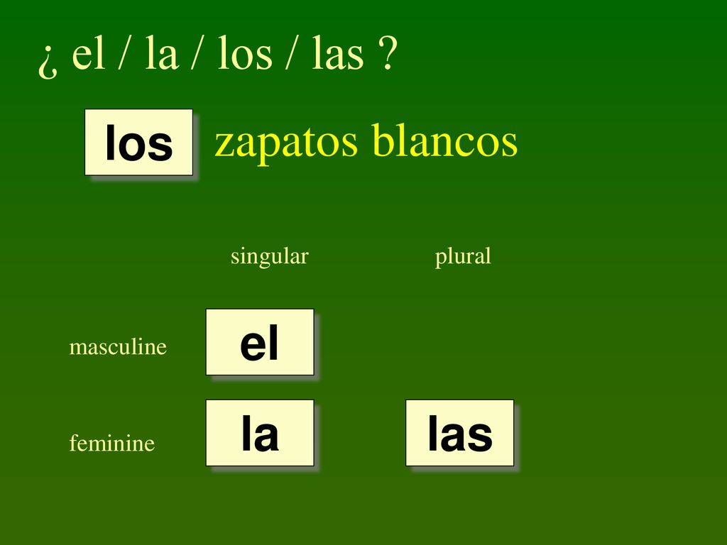 ¿ el / la / los / las zapatos blancos los el la las singular plural