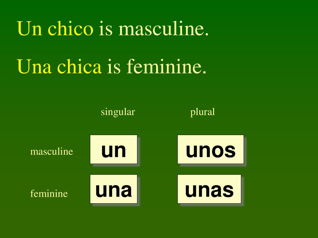 Un chico is masculine. Una chica is feminine. un unos una unas
