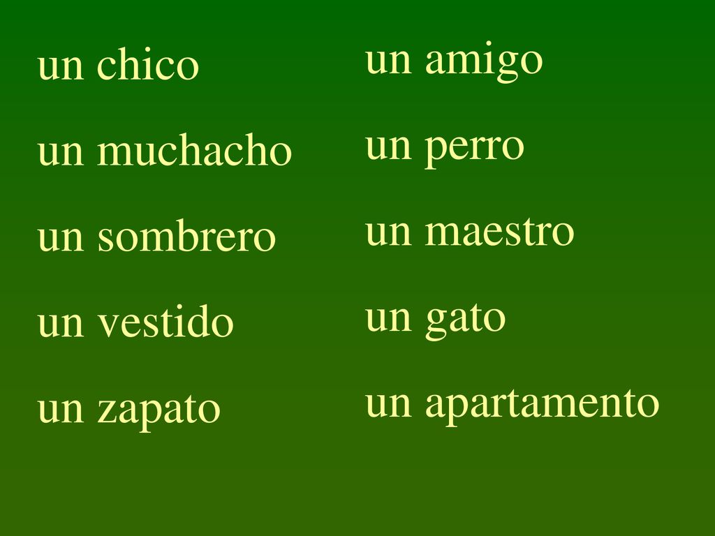 un amigo un perro. un maestro. un gato. un apartamento. un chico. un muchacho. un sombrero. un vestido.