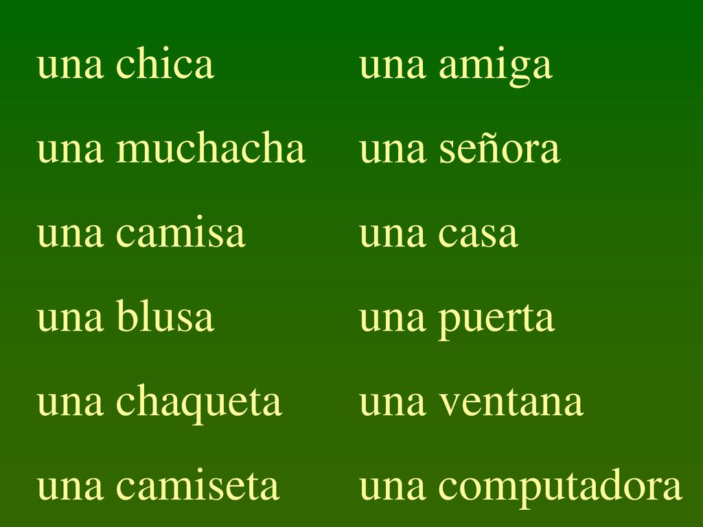una chica una muchacha. una camisa. una blusa. una chaqueta. una camiseta. una amiga. una señora.
