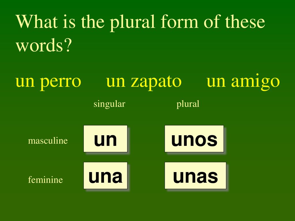 What is the plural form of these words un perro un zapato un amigo