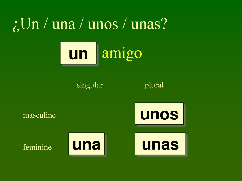 ¿Un / una / unos / unas amigo un unos una unas singular plural