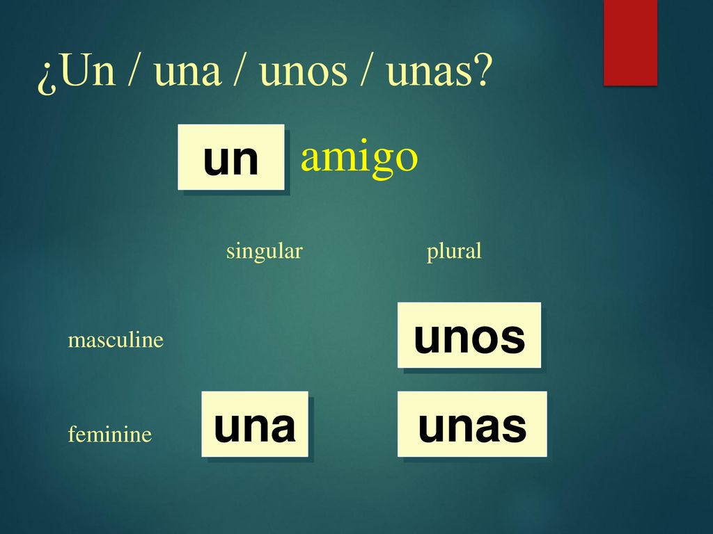 ¿Un / una / unos / unas amigo un unos una unas singular plural