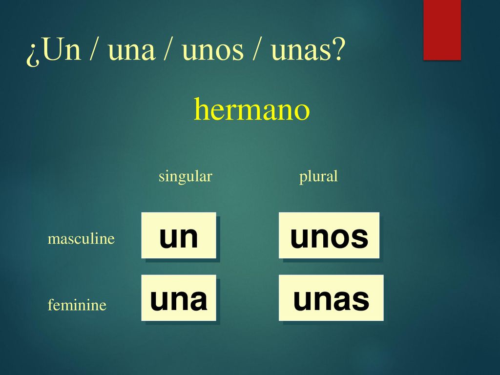 ¿Un / una / unos / unas hermano un unos una unas singular plural