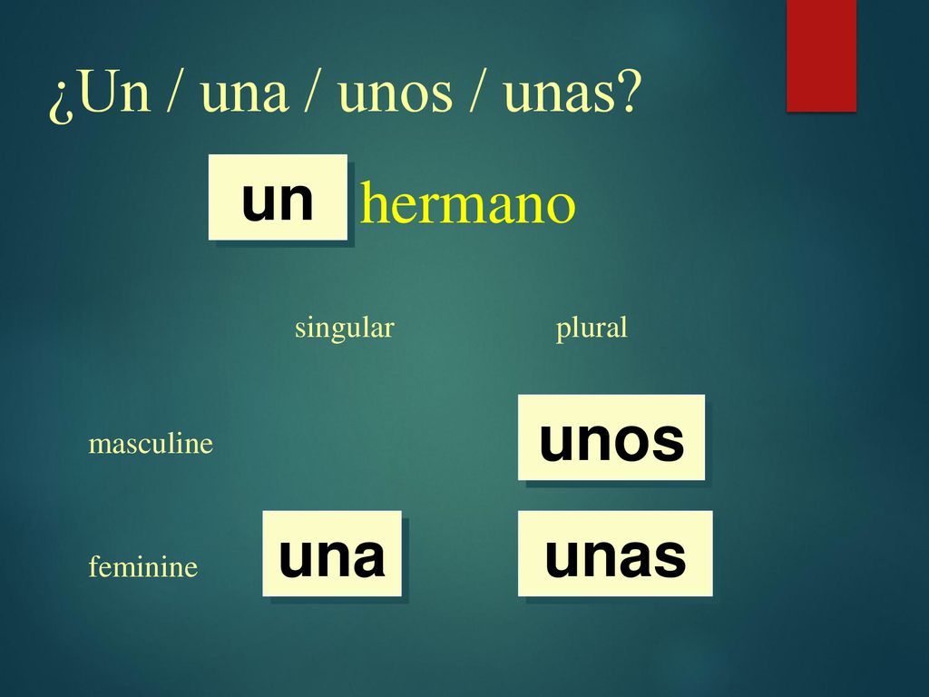 ¿Un / una / unos / unas hermano un unos una unas singular plural