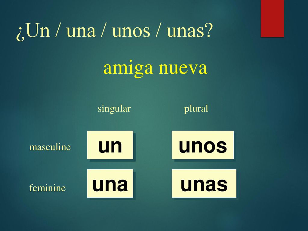 ¿Un / una / unos / unas amiga nueva un unos una unas singular plural