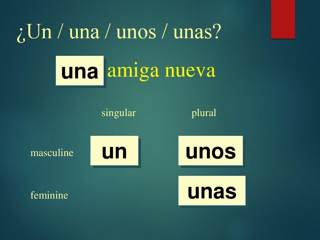 ¿Un / una / unos / unas amiga nueva una un unos unas singular plural