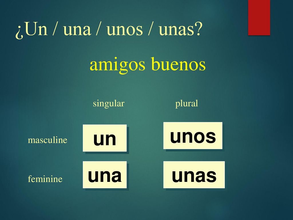 ¿Un / una / unos / unas amigos buenos unos un una unas singular