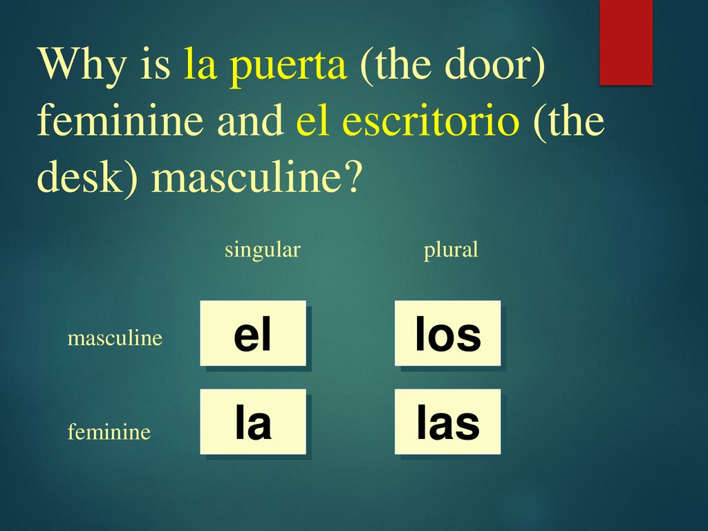 Why is la puerta (the door) feminine and el escritorio (the desk) masculine