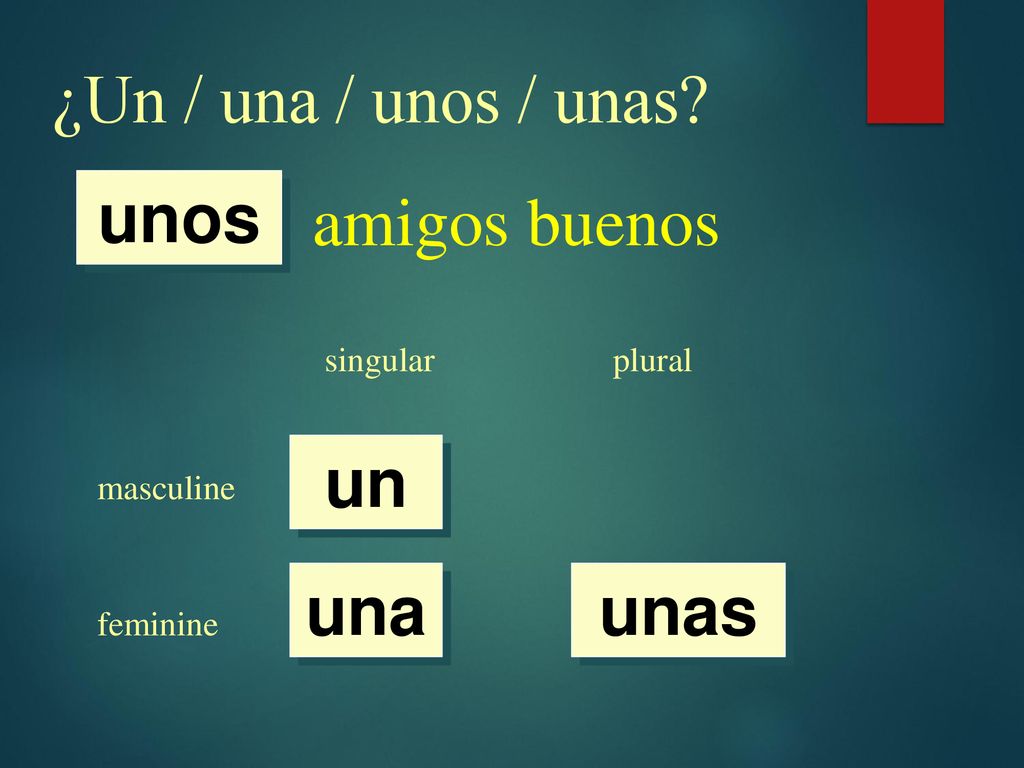 ¿Un / una / unos / unas amigos buenos unos un una unas singular
