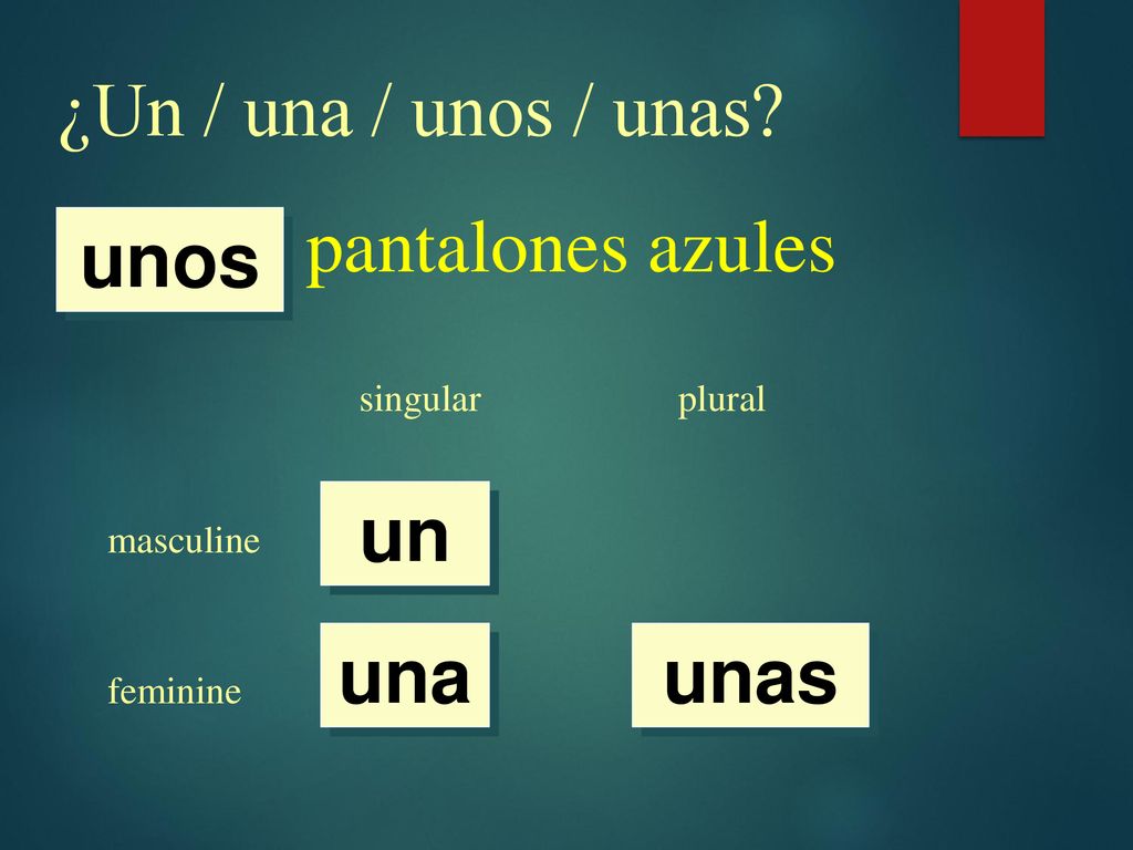 ¿Un / una / unos / unas pantalones azules unos un una unas singular