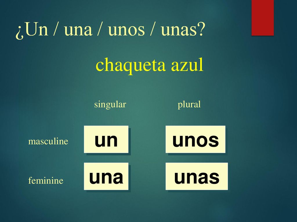 ¿Un / una / unos / unas chaqueta azul un unos una unas singular