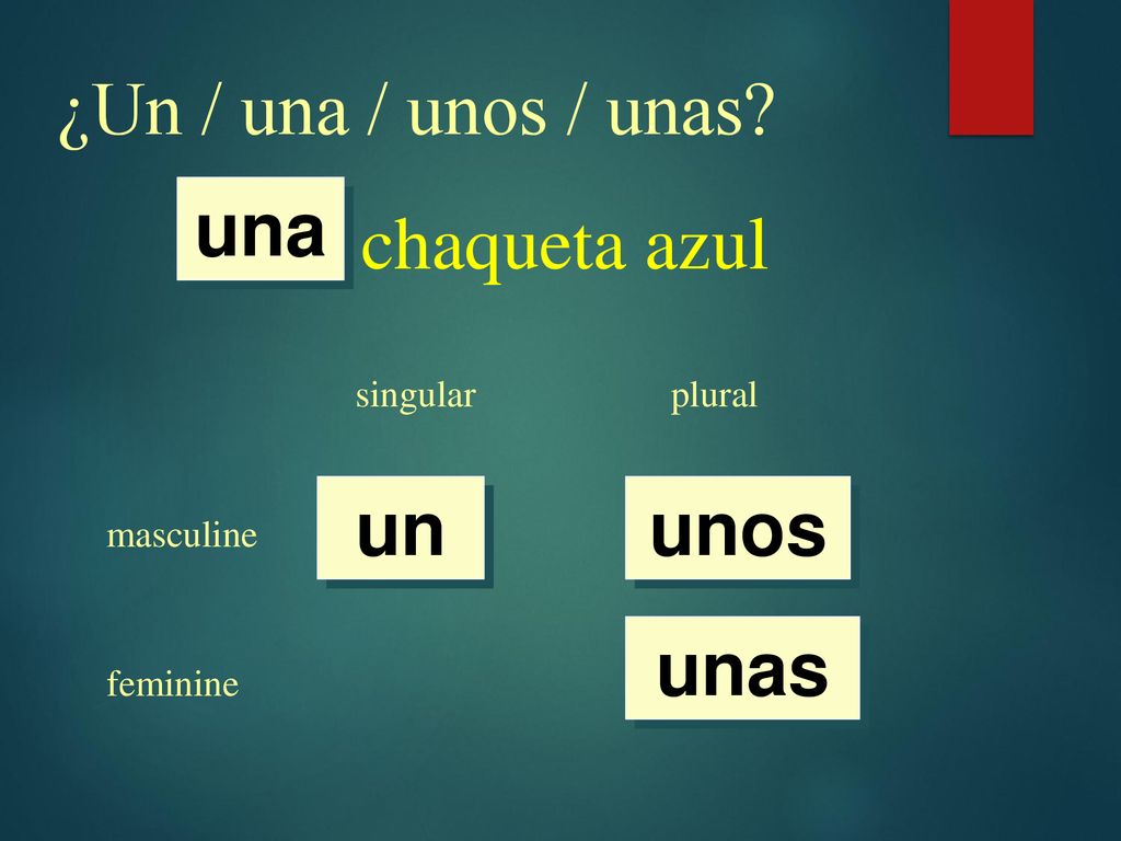 ¿Un / una / unos / unas chaqueta azul una un unos unas singular