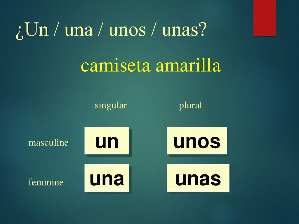 ¿Un / una / unos / unas camiseta amarilla un unos una unas singular