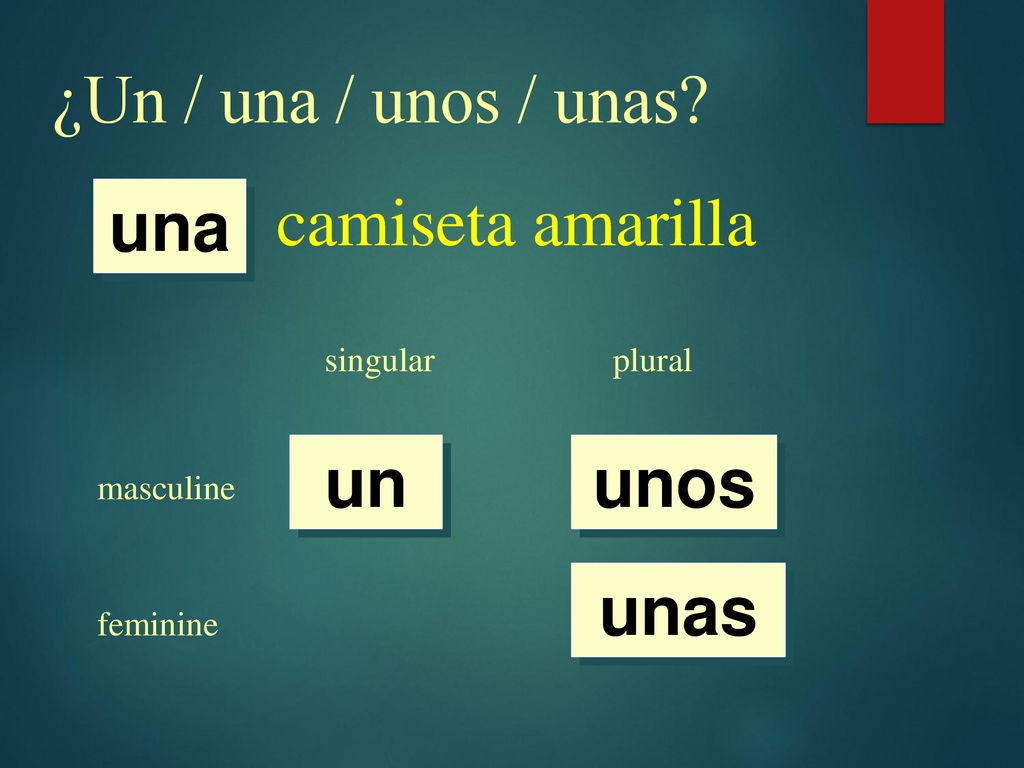 ¿Un / una / unos / unas camiseta amarilla una un unos unas singular