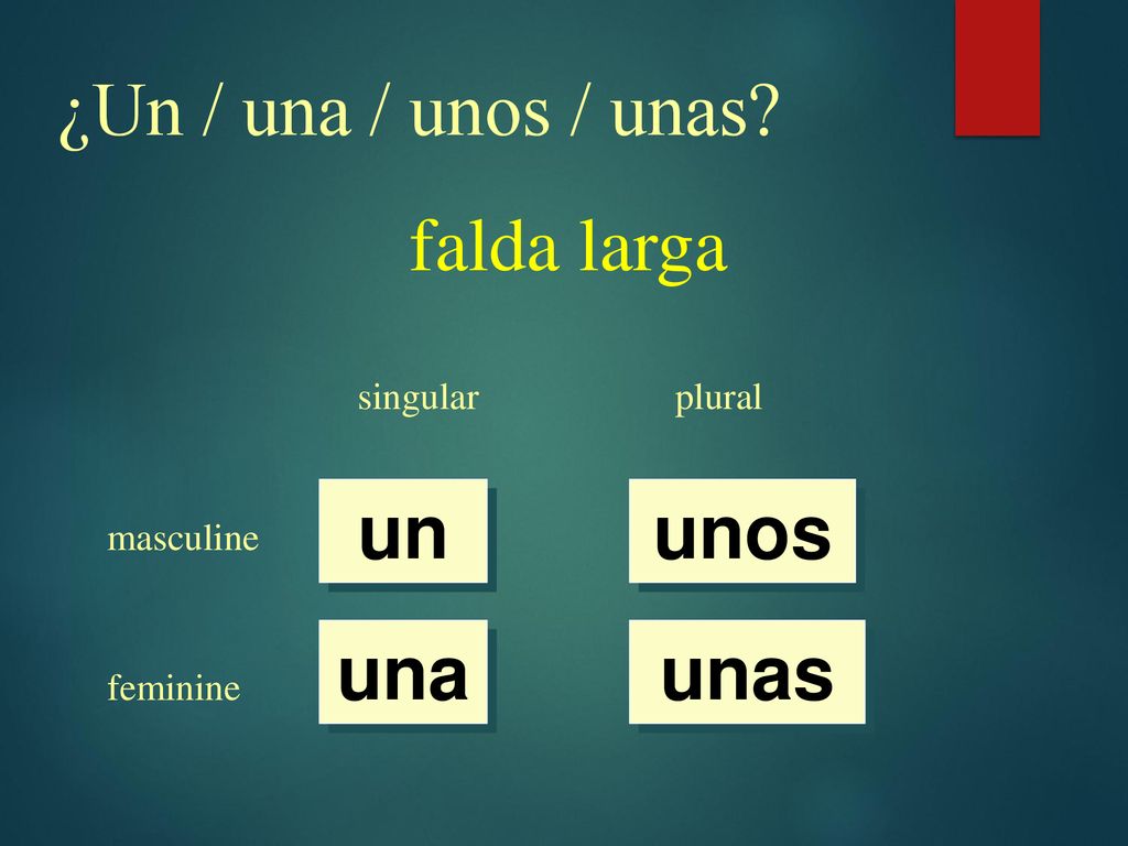 ¿Un / una / unos / unas falda larga un unos una unas singular plural
