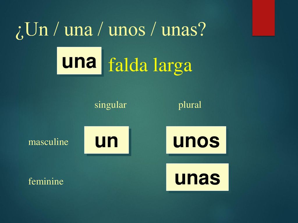 ¿Un / una / unos / unas falda larga una un unos unas singular plural
