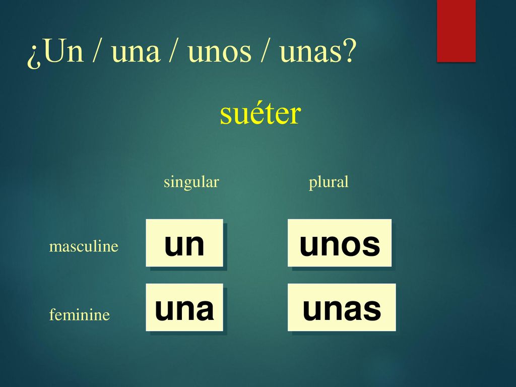 ¿Un / una / unos / unas suéter un unos una unas singular plural