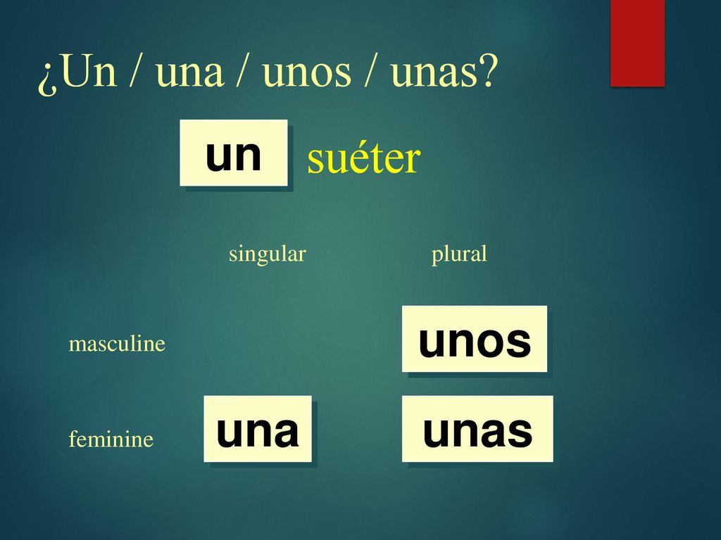 ¿Un / una / unos / unas suéter un unos una unas singular plural