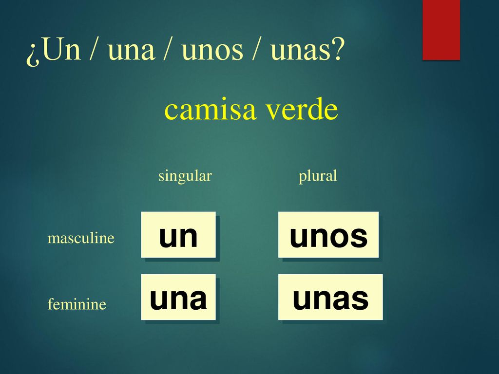¿Un / una / unos / unas camisa verde un unos una unas singular plural