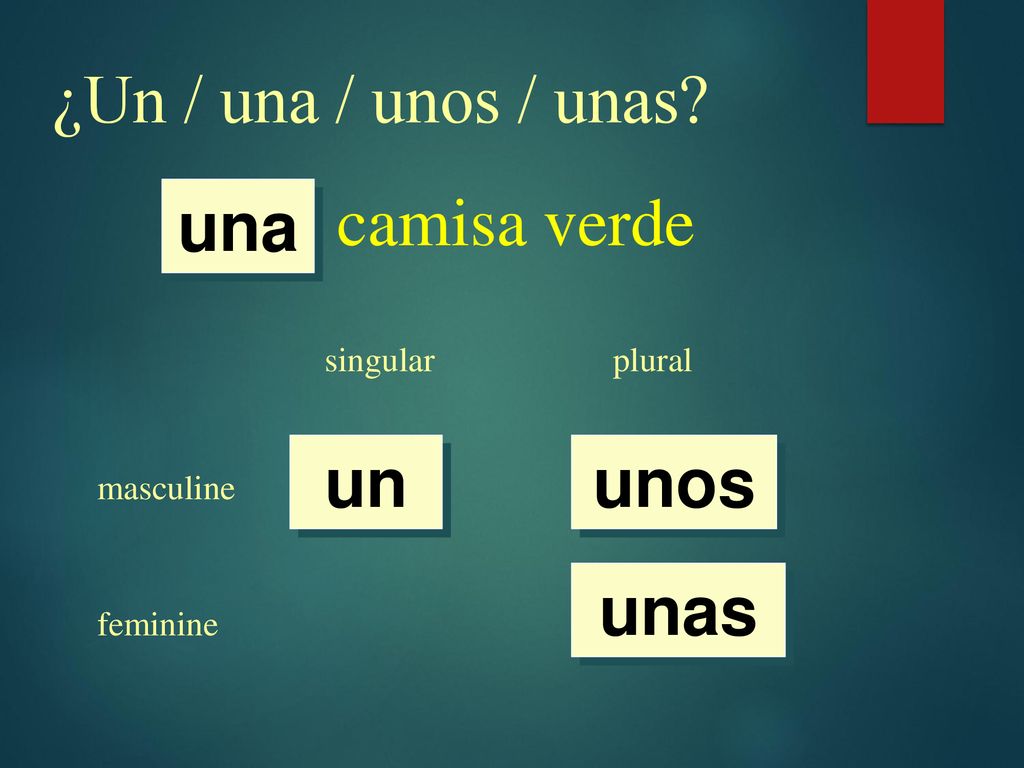 ¿Un / una / unos / unas camisa verde una un unos unas singular plural