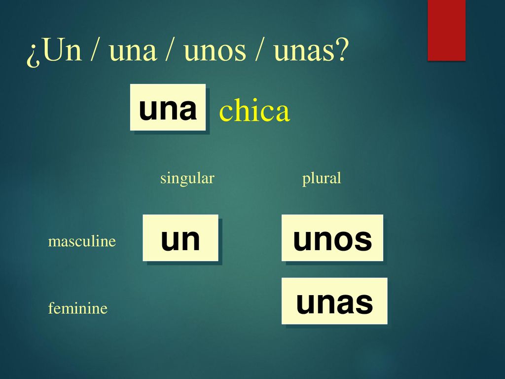 ¿Un / una / unos / unas chica una un unos unas singular plural