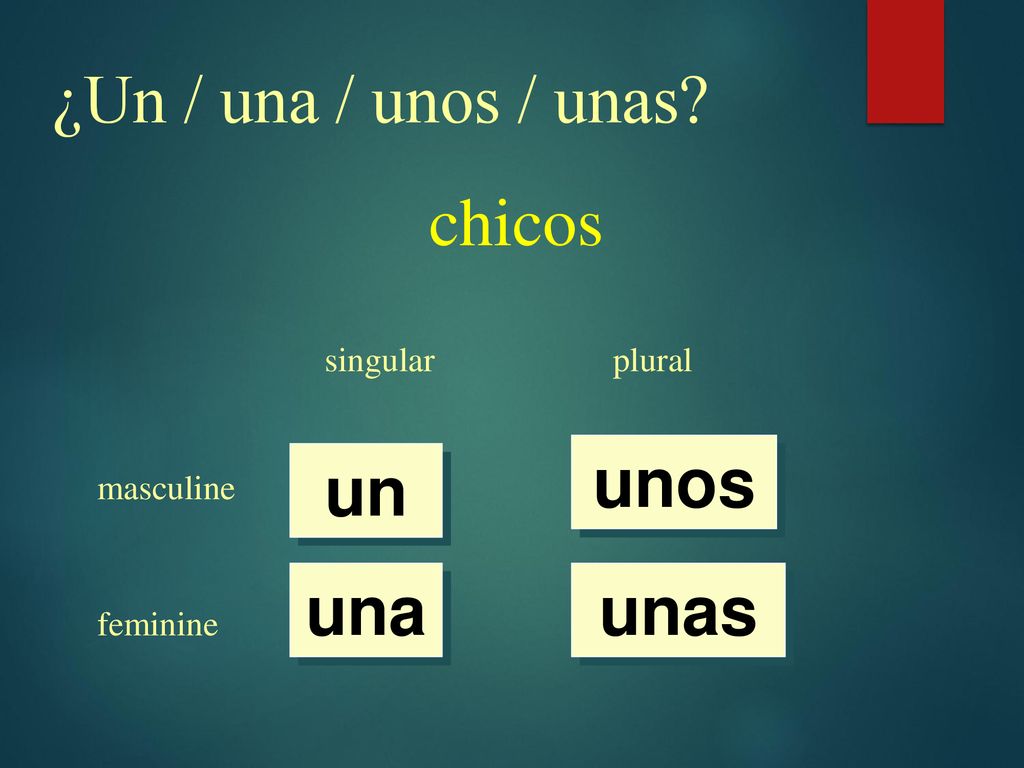 ¿Un / una / unos / unas chicos unos un una unas singular plural