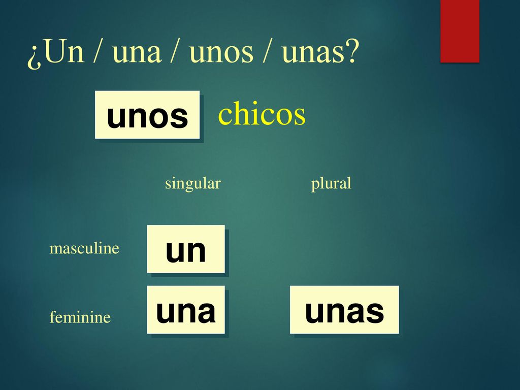¿Un / una / unos / unas chicos unos un una unas singular plural