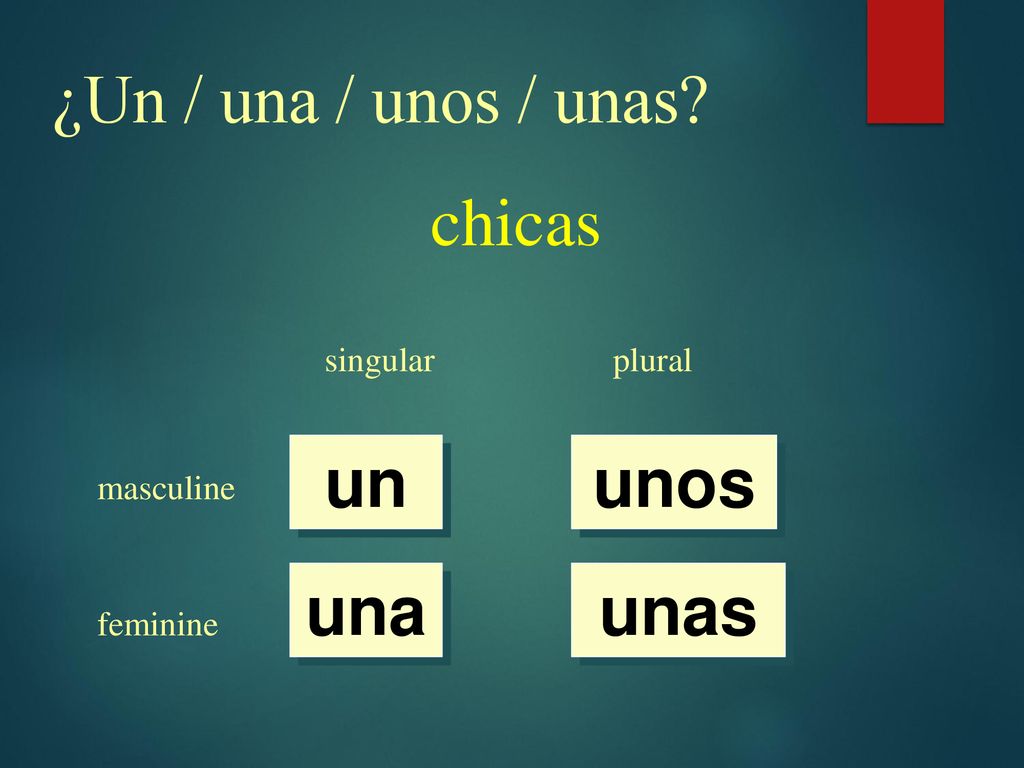 ¿Un / una / unos / unas chicas un unos una unas singular plural