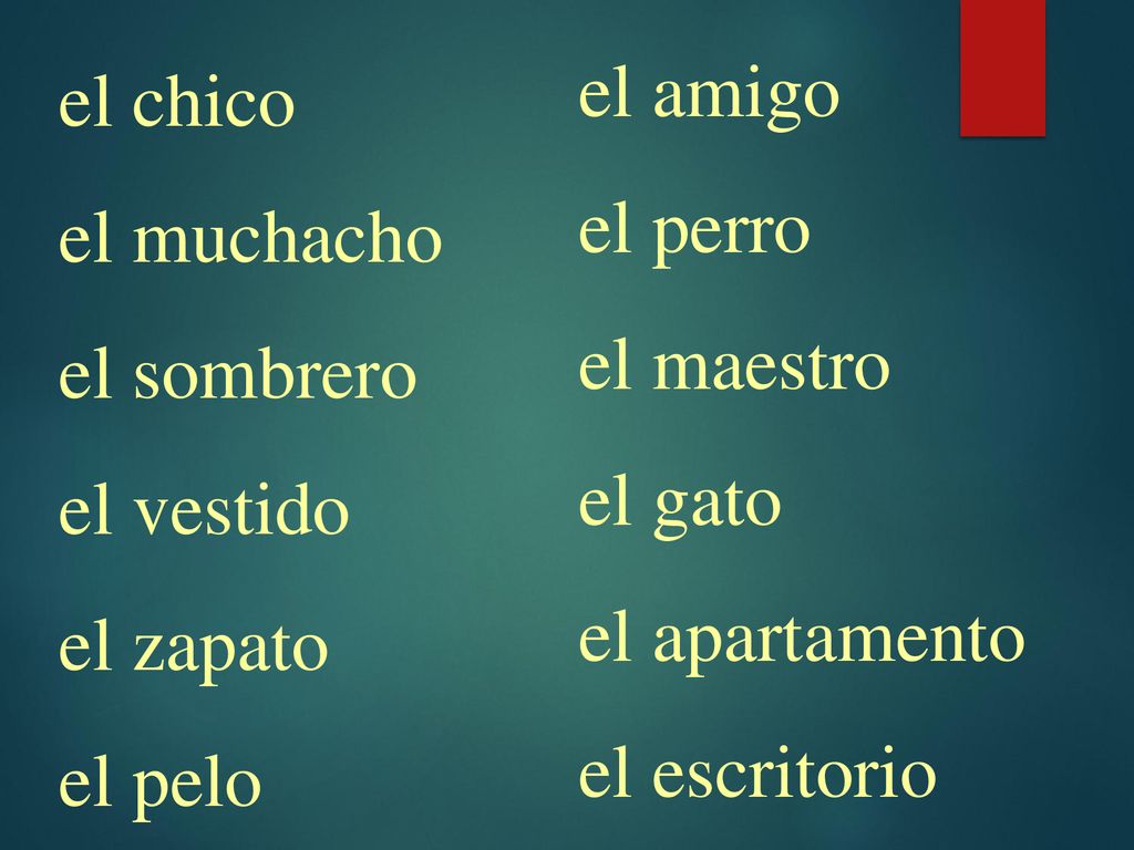 el amigo el perro. el maestro. el gato. el apartamento. el escritorio. el chico. el muchacho.