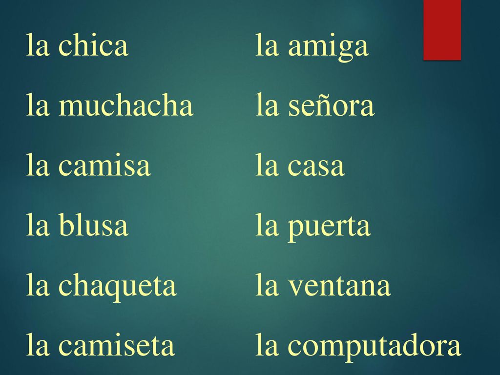 la chica la muchacha. la camisa. la blusa. la chaqueta. la camiseta. la amiga. la señora. la casa.