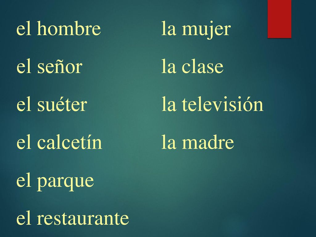 el hombre el señor. el suéter. el calcetín. el parque. el restaurante. la mujer. la clase. la televisión.