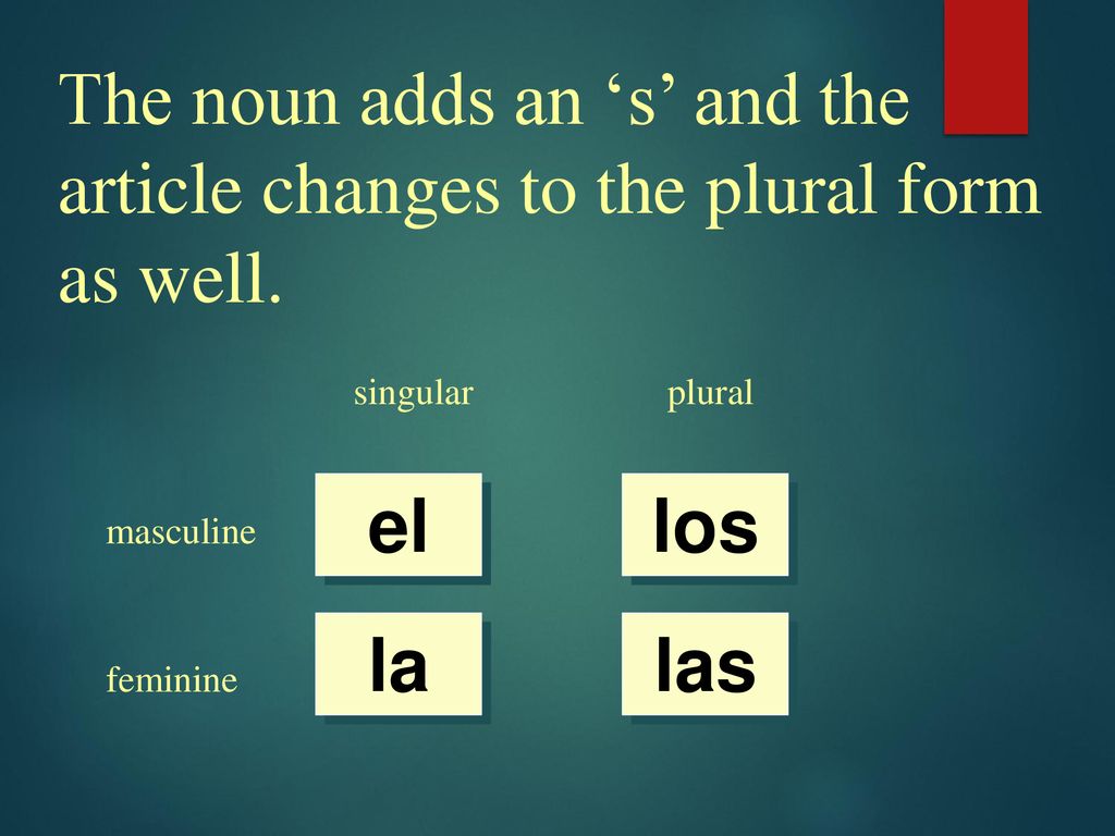 The noun adds an ‘s’ and the article changes to the plural form as well.