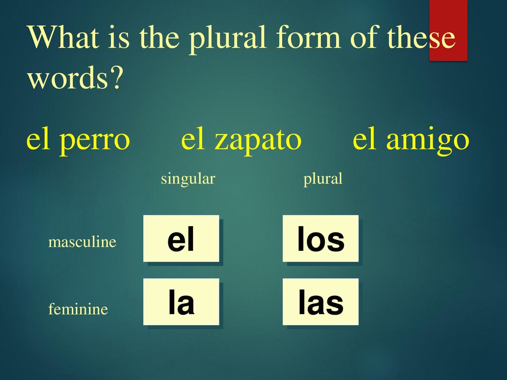 What is the plural form of these words el perro el zapato el amigo