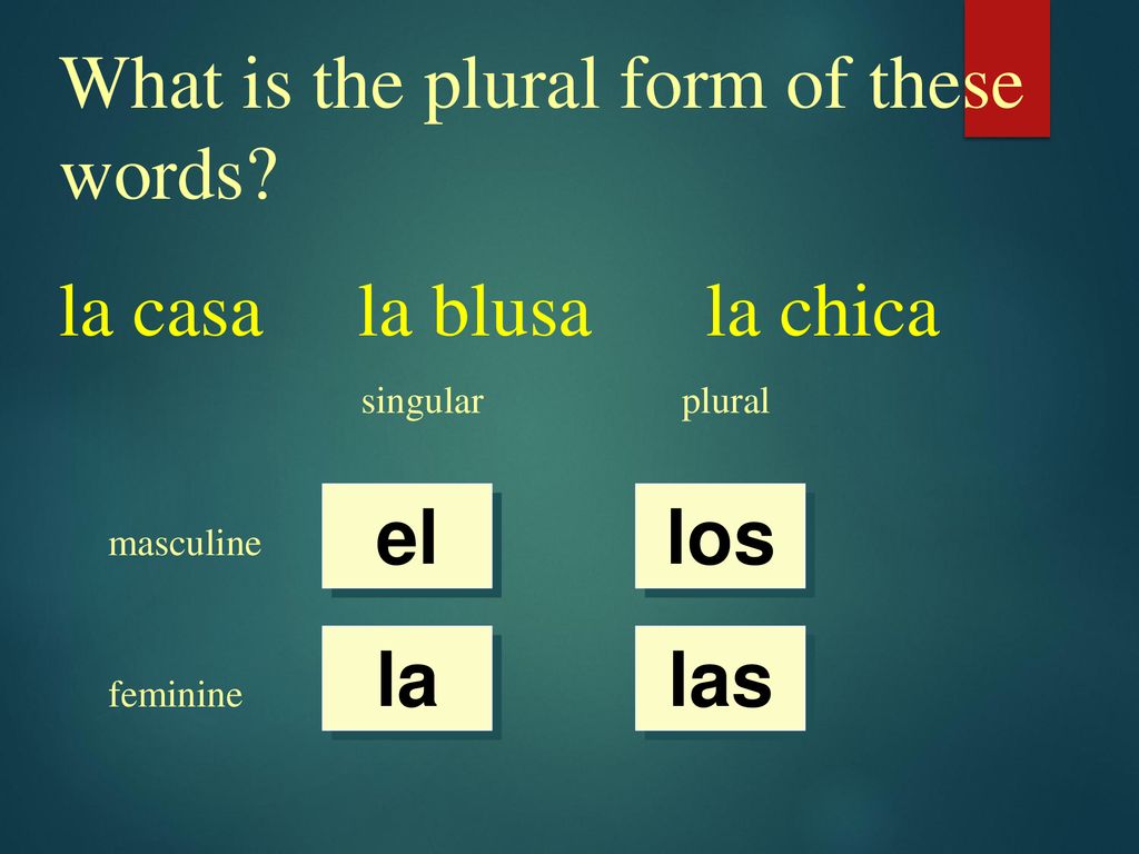 What is the plural form of these words la casa la blusa la chica