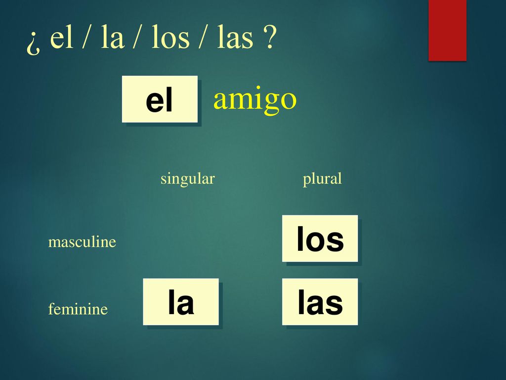¿ el / la / los / las amigo el los la las singular plural masculine