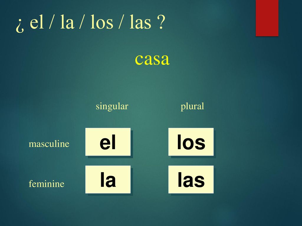 ¿ el / la / los / las casa el los la las singular plural masculine