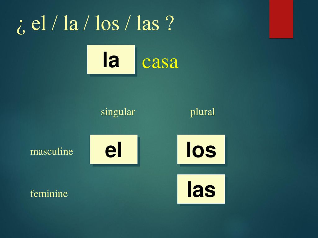 ¿ el / la / los / las casa la el los las singular plural masculine