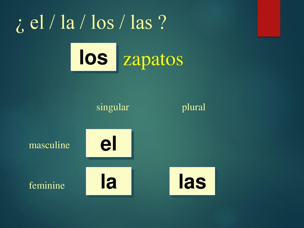 ¿ el / la / los / las zapatos los el la las singular plural
