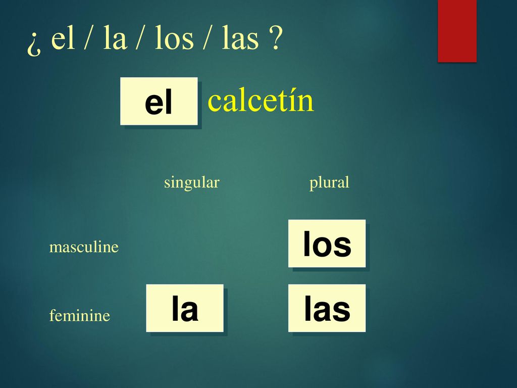 ¿ el / la / los / las calcetín el los la las singular plural