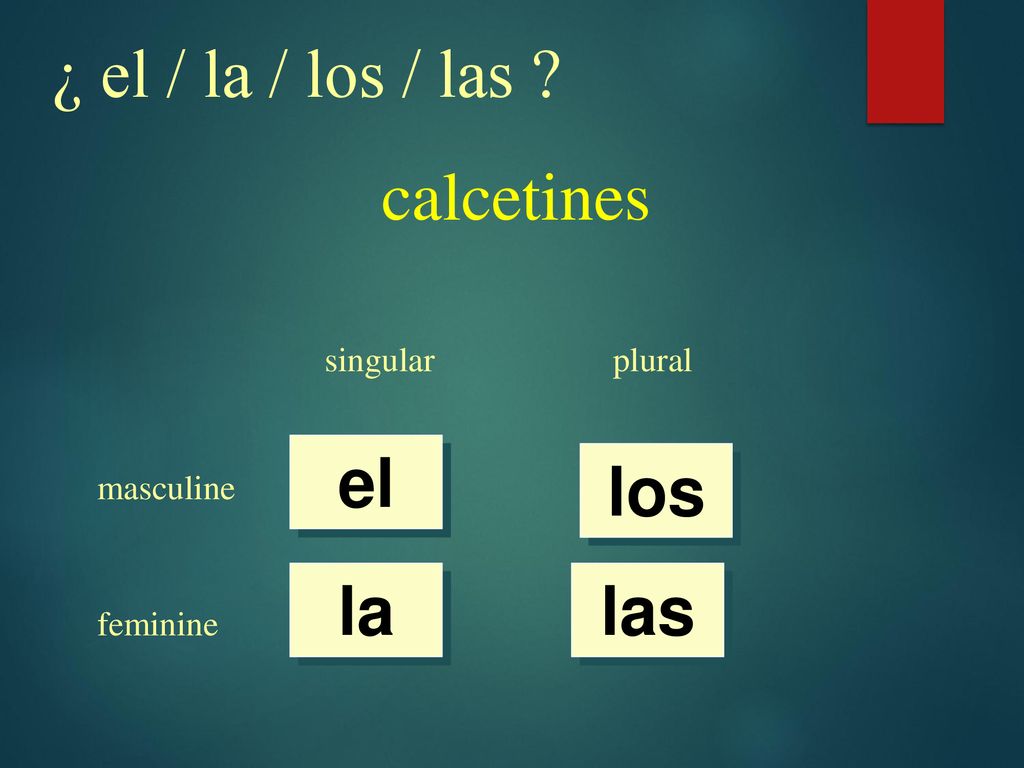 ¿ el / la / los / las calcetines el los la las singular plural