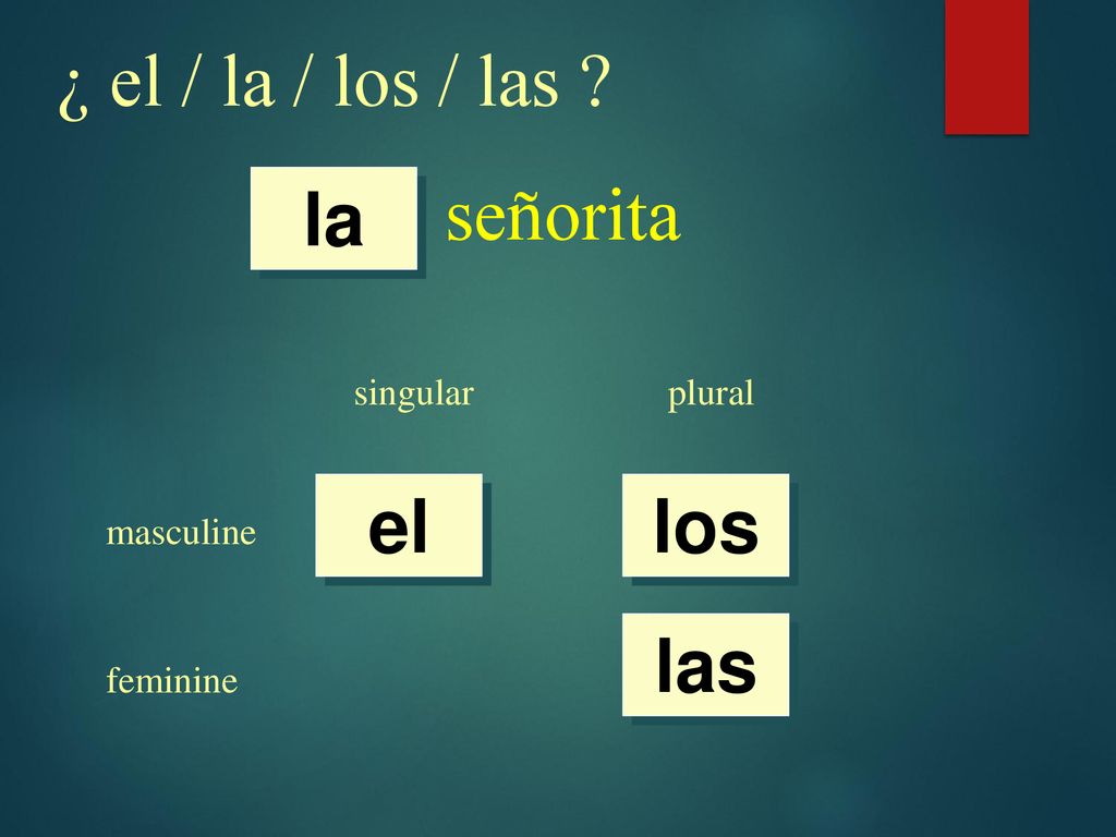 ¿ el / la / los / las señorita la el los las singular plural